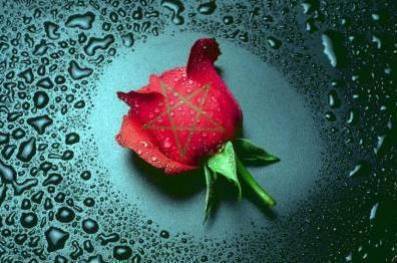 oui ci marocccccccccccc